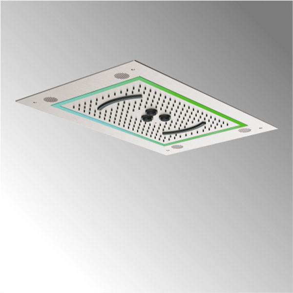 CEILING SHOWER
